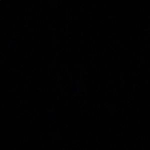 Meet your Posher, Elena